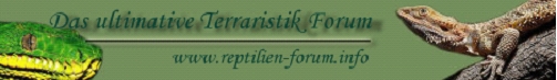 Reptilien-Forum