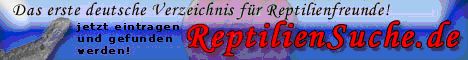 dght.de